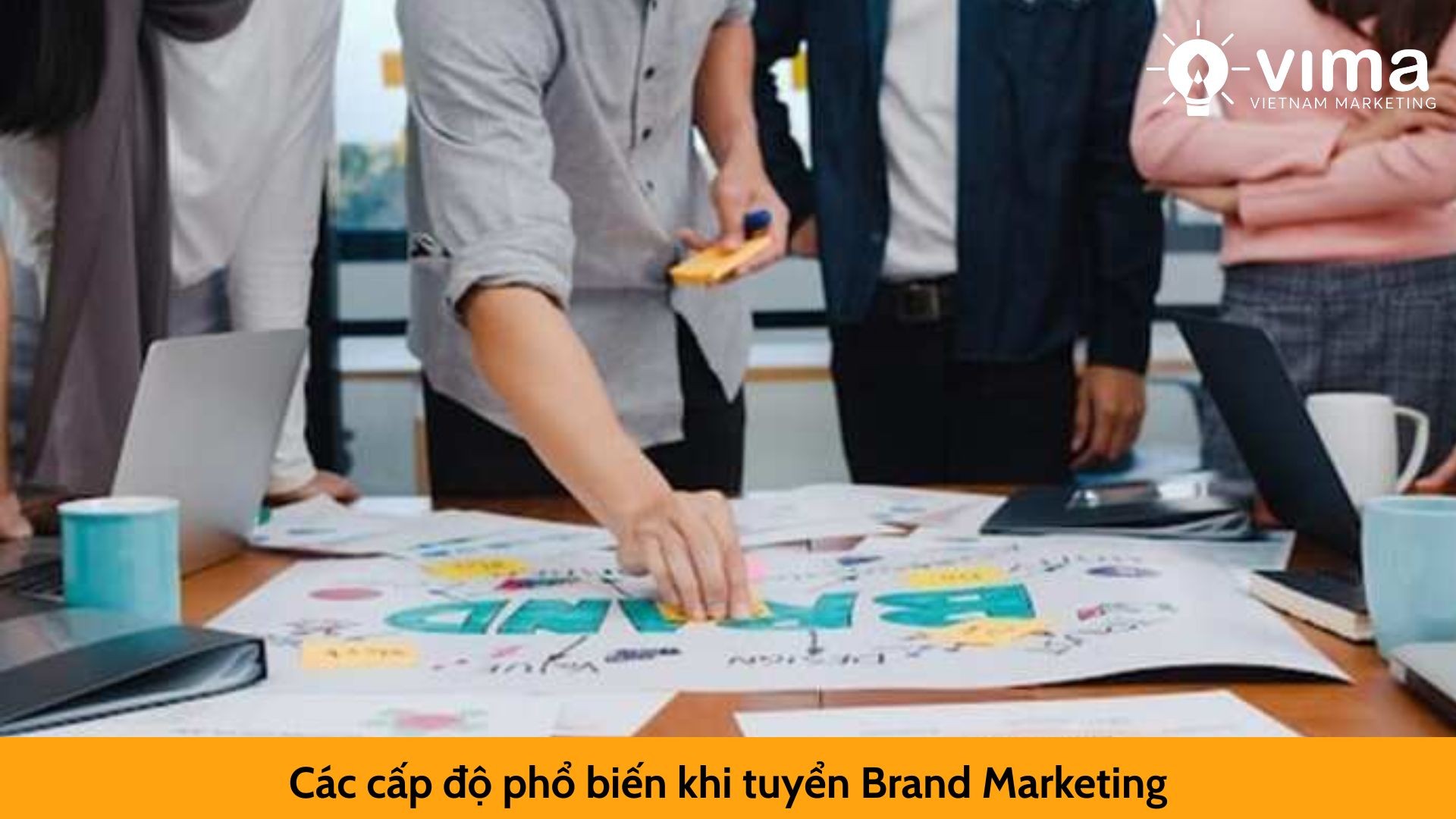 Các cấp độ phổ biến khi tuyển Brand Marketing
